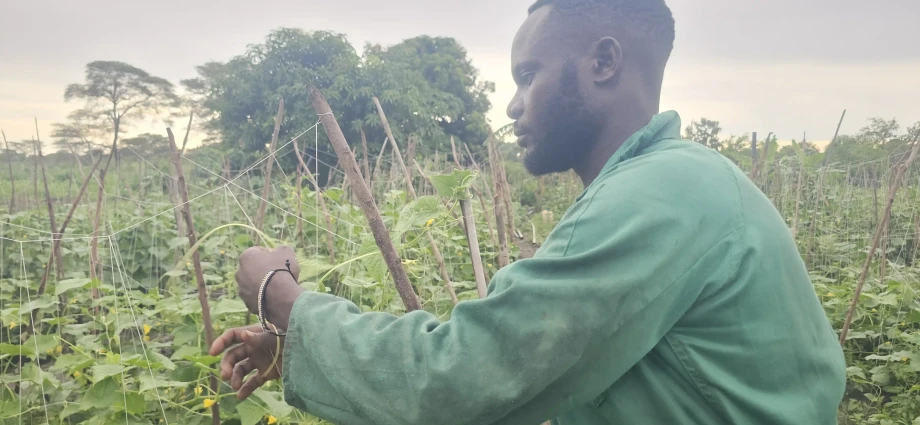 Amos at his garden in Juba. Photo Credi-The Borderline-News Channel