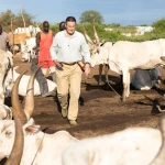 FAO, Swiss Cooperation Visit Nyinanyar Cattle Camp in Juba County