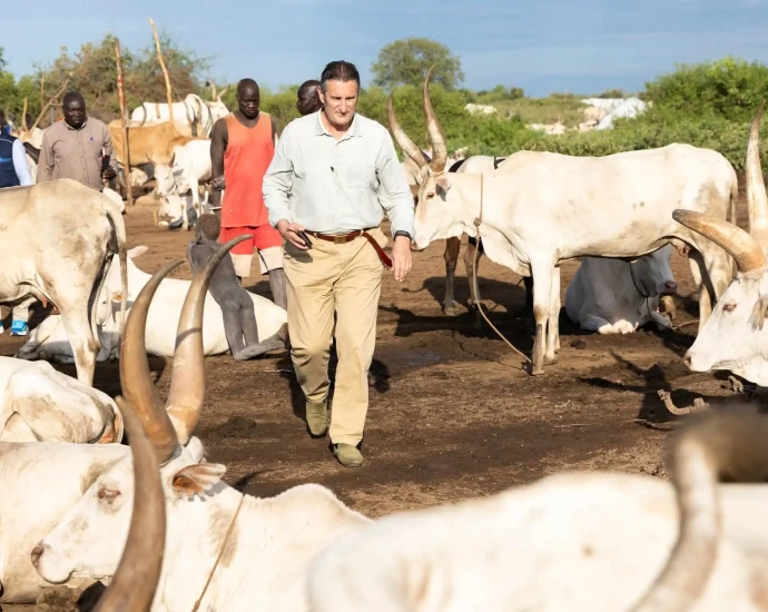 FAO, Swiss Cooperation Visit Nyinanyar Cattle Camp in Juba County
