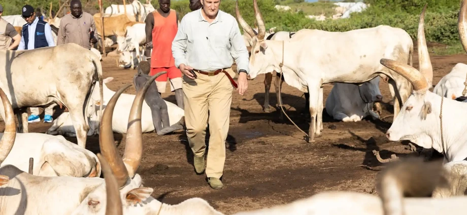 FAO, Swiss Cooperation Visit Nyinanyar Cattle Camp in Juba County