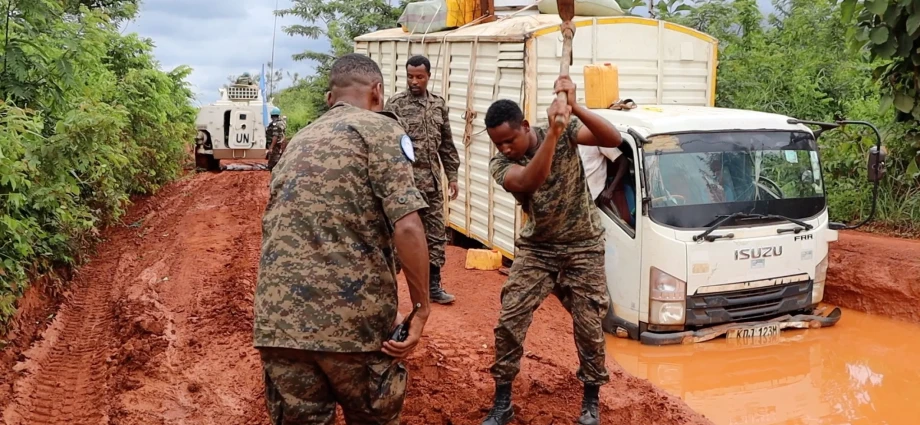 Ibba County Faces Dangerous Mix of Insecurity and Disease