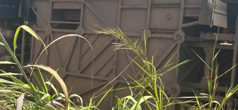 Juba-Kampala Eco Bus Accident Under Investigation