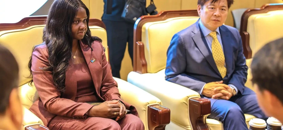 Juba Seeks Korean Backing for Fula Dam Project