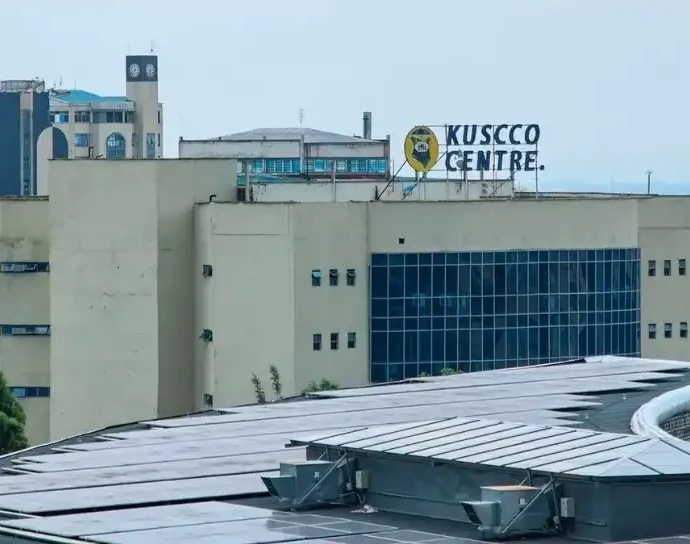 Kenyan Cooperatives Face Dividend Pressure Over Kuscco Losses