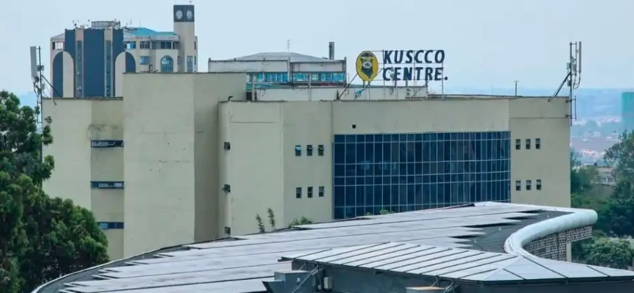 Kenyan Cooperatives Face Dividend Pressure Over Kuscco Losses