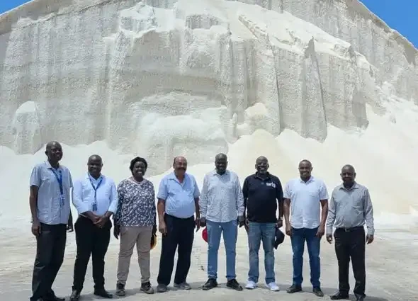 Krystaline Salt Company Ltd, Ken Salt Company Ltd, Malindi Salt Works and Kurawa Industries