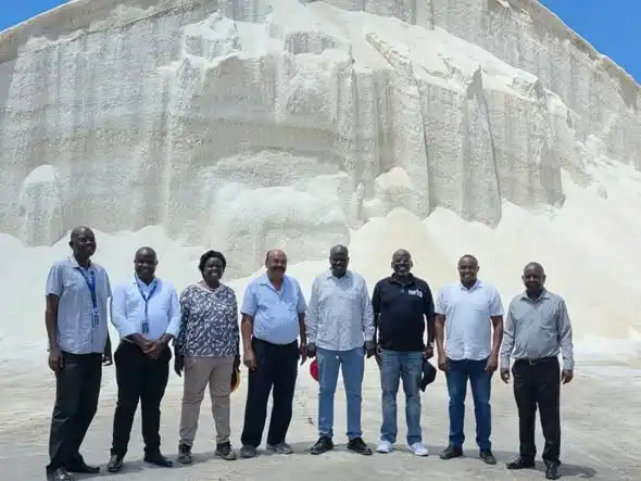 Krystaline Salt Company Ltd, Ken Salt Company Ltd, Malindi Salt Works and Kurawa Industries