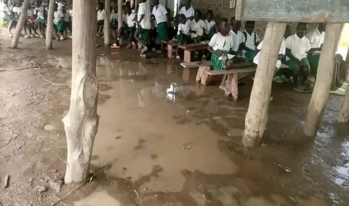 Pupils of Rodoba Primary school learning under poor conditions in Morobo County