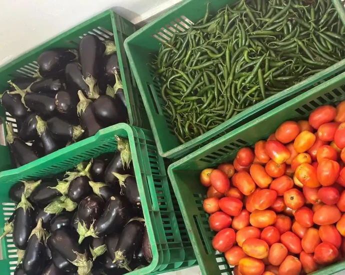 South Sudan Food Basket Cost Holds at 133,602 SSP