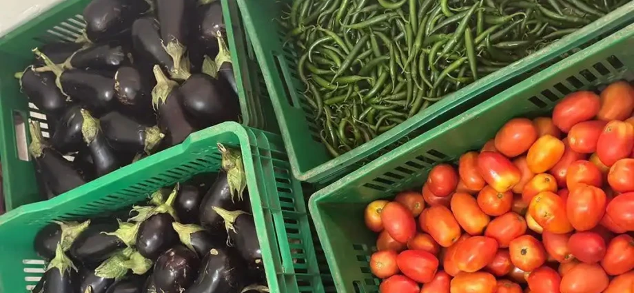South Sudan Food Basket Cost Holds at 133,602 SSP