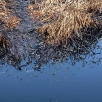 Suspected Contaminated Water Sickens Children in Unity State