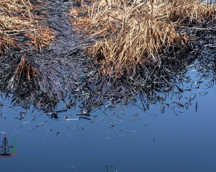 Suspected Contaminated Water Sickens Children in Unity State
