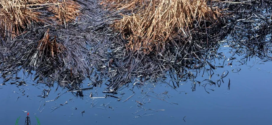 Suspected Contaminated Water Sickens Children in Unity State
