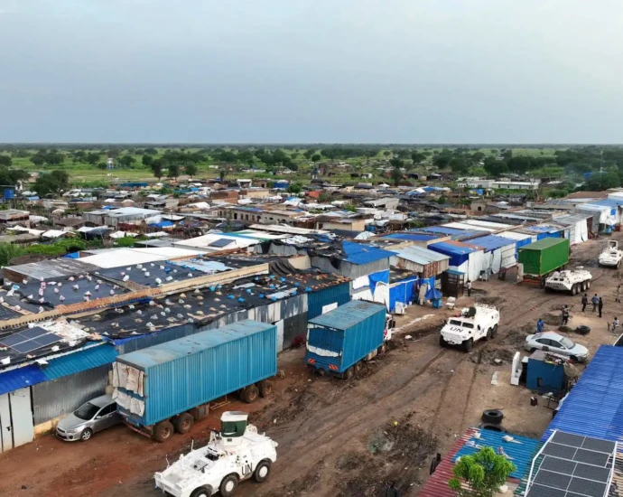 The United Nations Interim Security Force for Abyei (UNISFA)