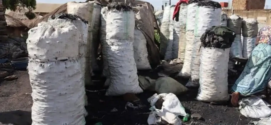 UGX 2.4 Billion ($645,000) Charcoal Stock Stranded at South Sudan Border