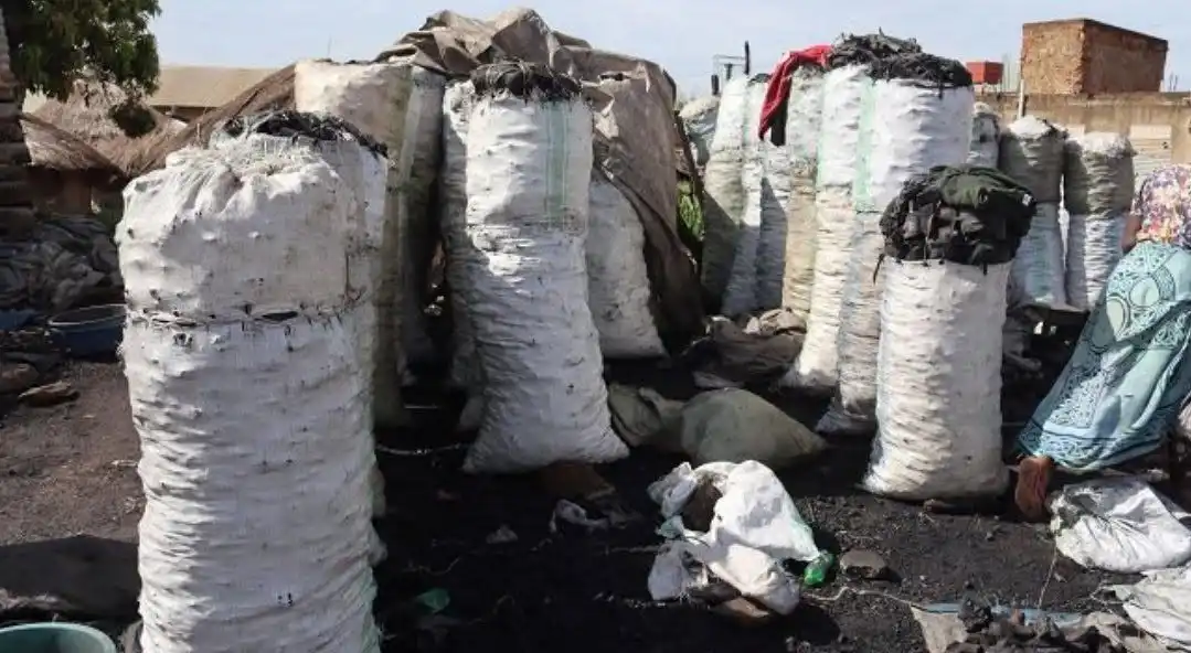 Uganda Charcoal Ban Suspended After Traders Protest