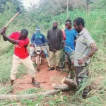 Youth clearing off fallen trees on the Yei-Maridi Road. Photo Credit-Christopher Taharir