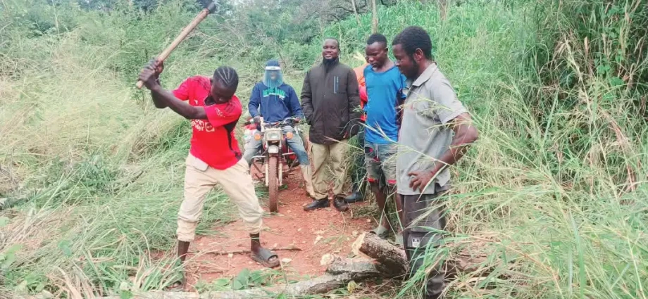 Youth clearing off fallen trees on the Yei-Maridi Road. Photo Credit-Christopher Taharir